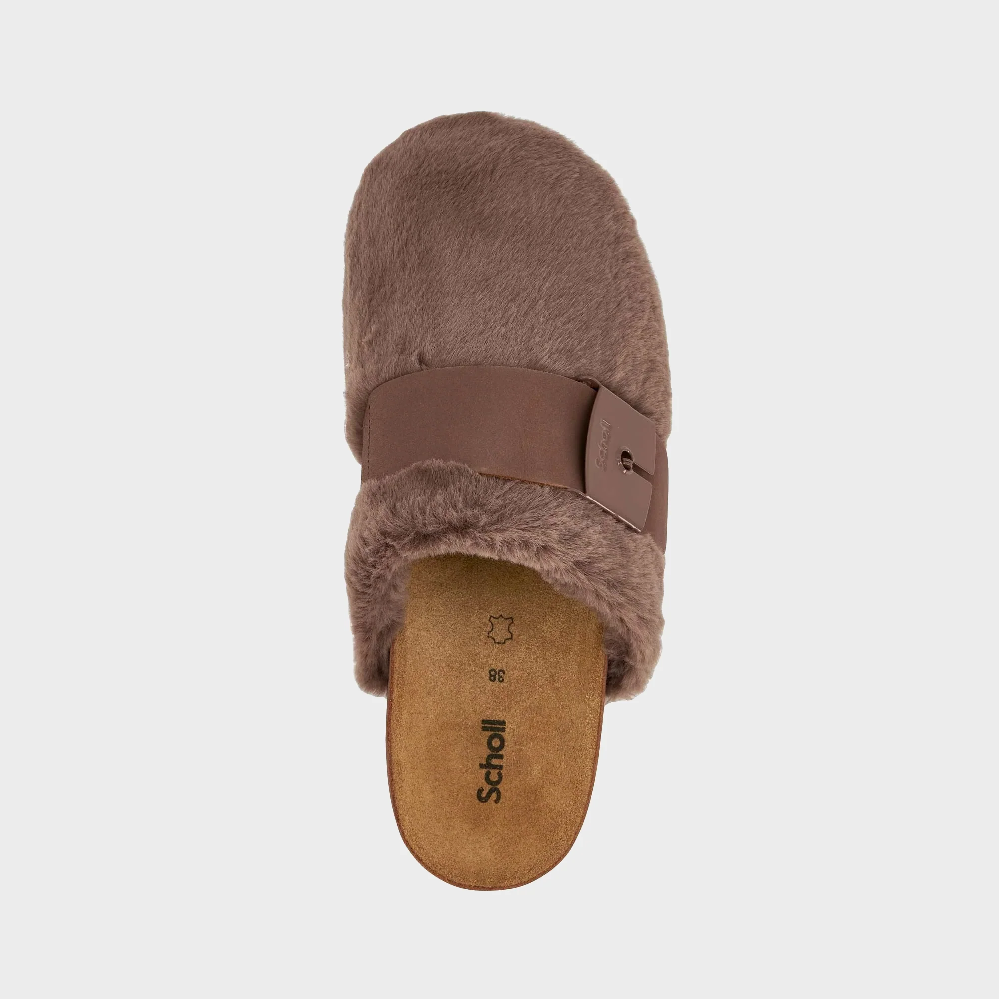 ALASKA 3.0 - Image 4