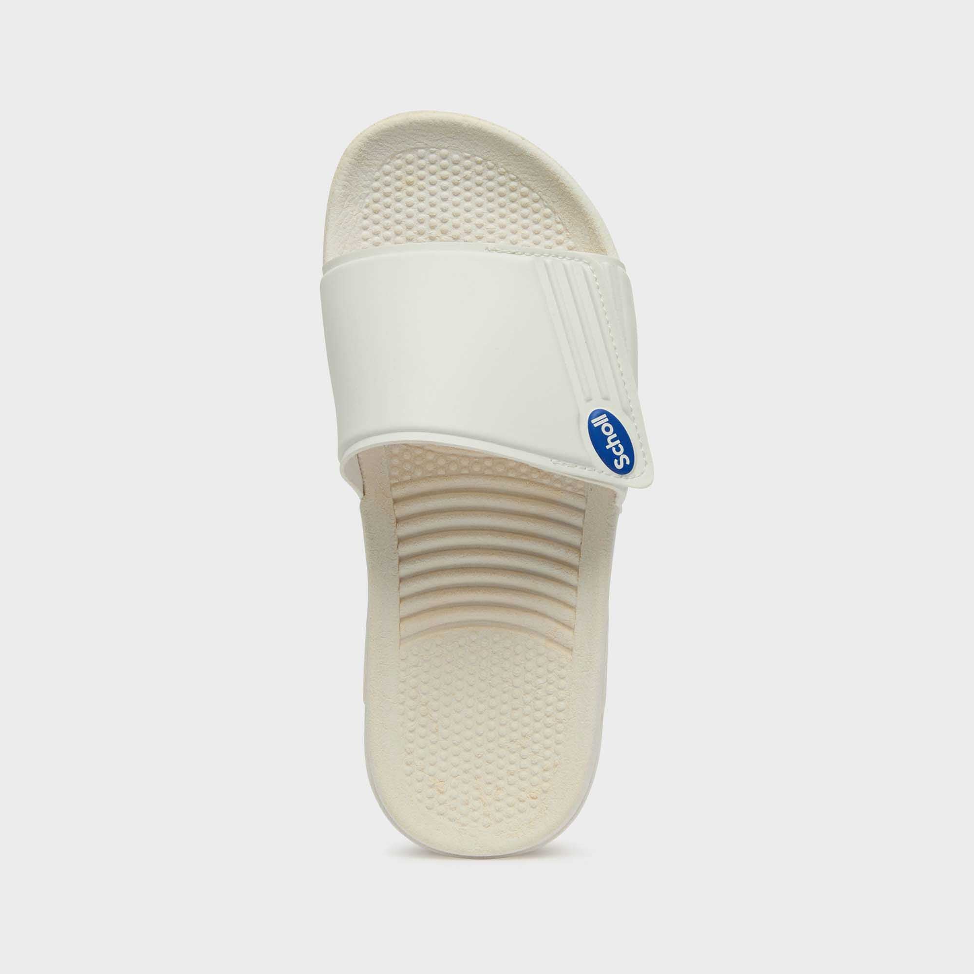 Scholl Nautilus - Image 3